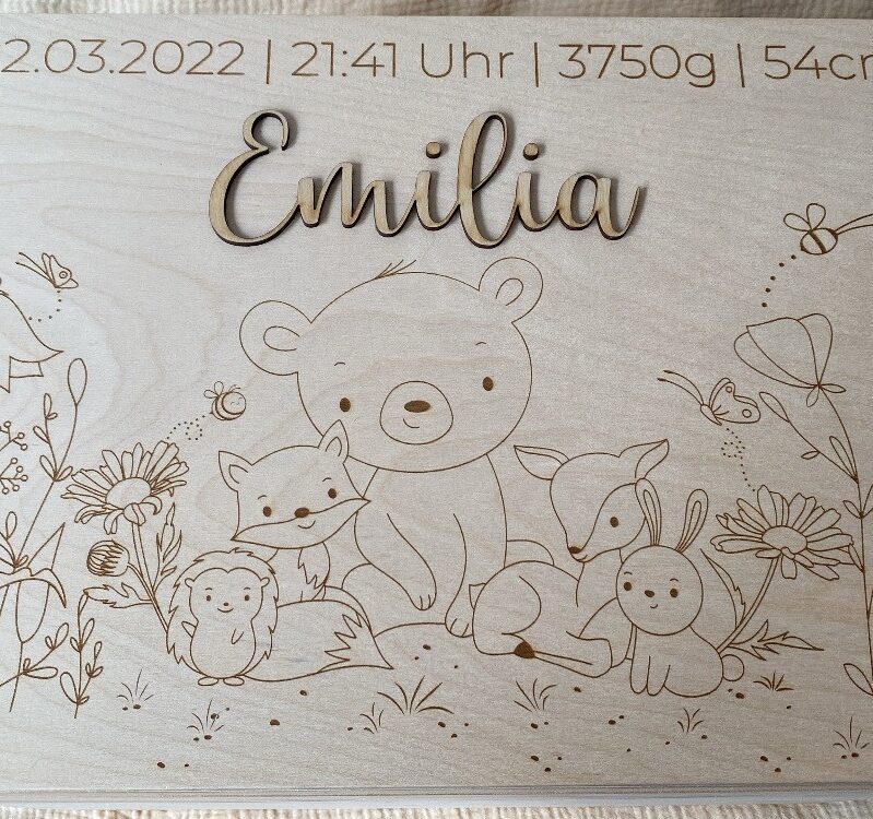 Erinnerungsbox 3D